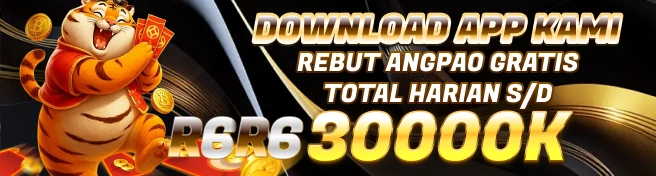 r6r6 apk