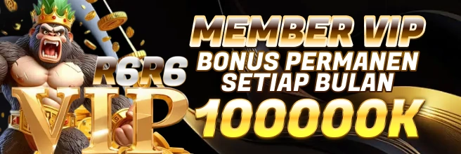 r6r6 vip